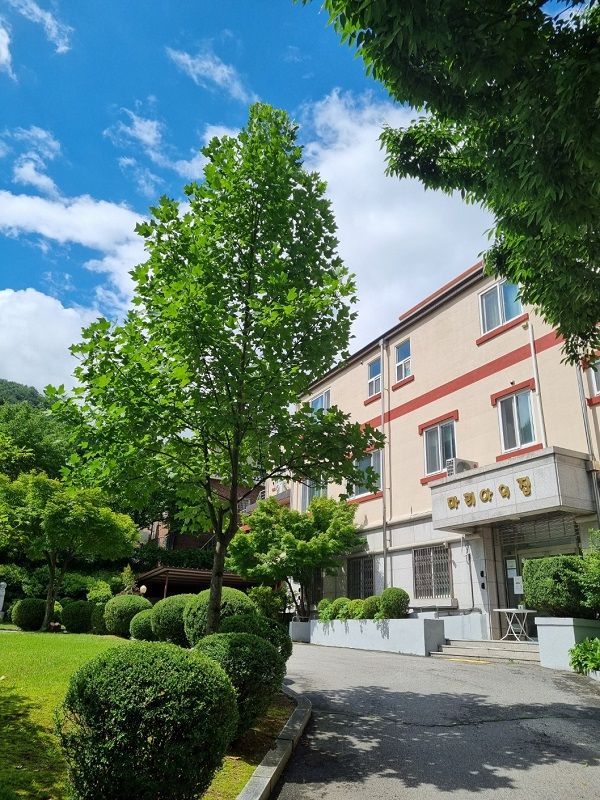 사진=손흥민을 응원하는 2030여성들