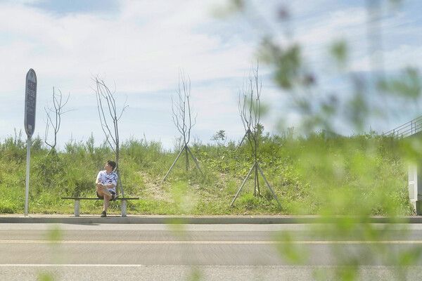 '바람 따라 만나리 : 김호중의 계절' 스틸컷. 사진=생각엔터테인먼트