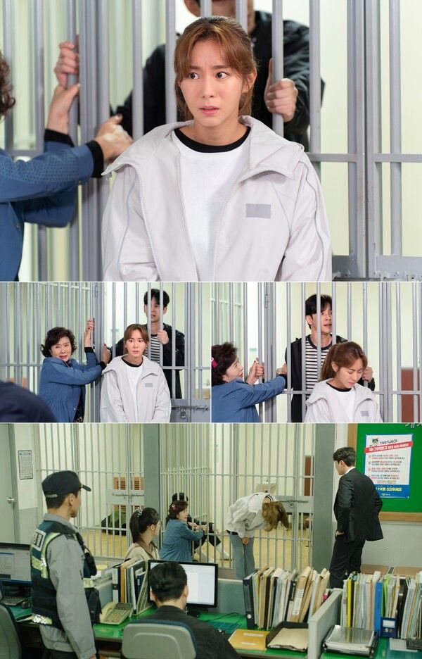 효심이네 각자도생. 사진=아크미디어