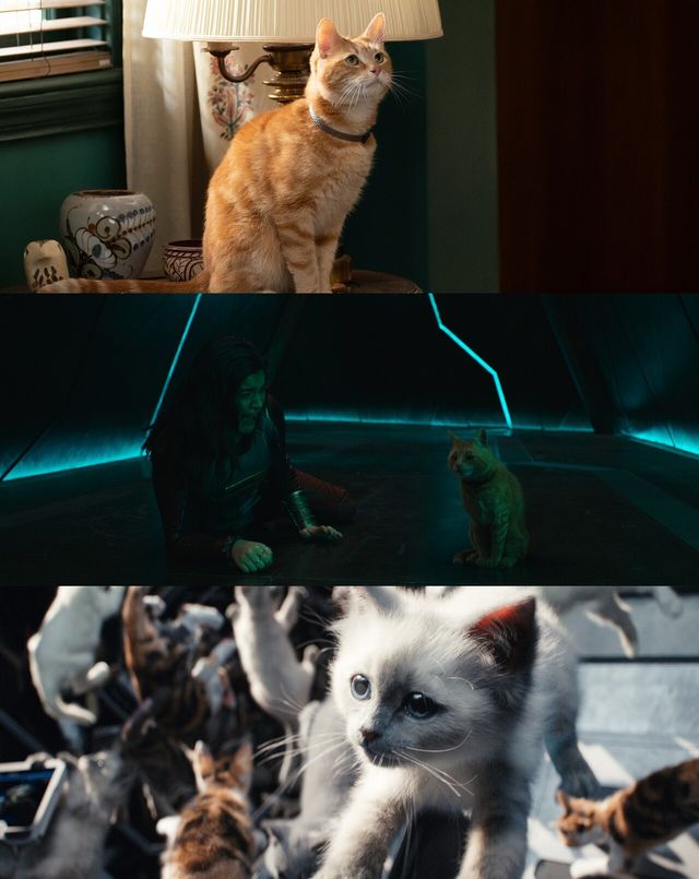 '더 마블스' 구스&플러키튼. 사진=월트디즈니 컴퍼니 코리아