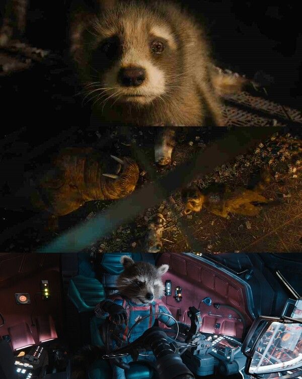 '가디언즈 오브 갤럭시3' 로켓. 사진=월트디즈니컴퍼니 코리아