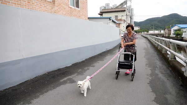 사진=동물극장 단짝