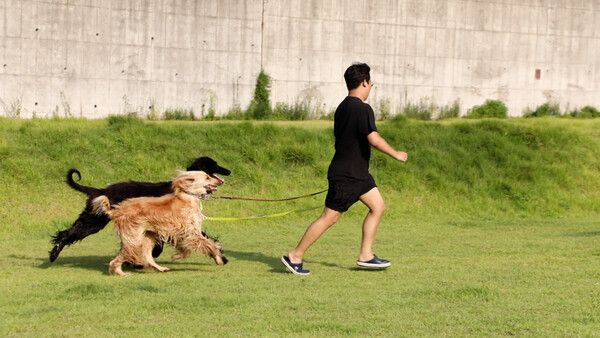 사진=동물극장 단짝