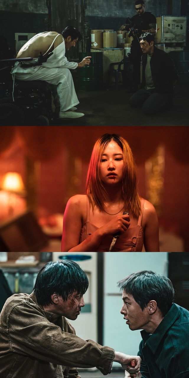 한국영화의 오늘-스페셜 프리미어 '독전2' '발레리나' '화란' 스틸. 사진=제28회 부산국제영화제