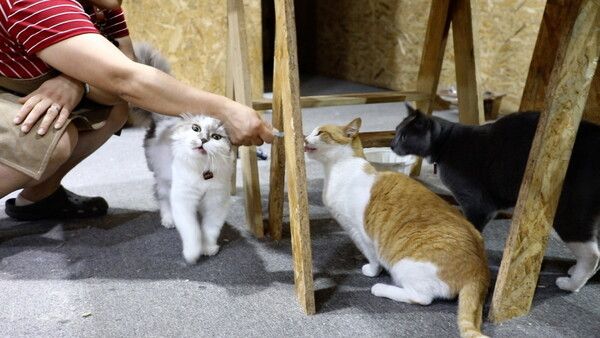 사진=동물극장 단짝