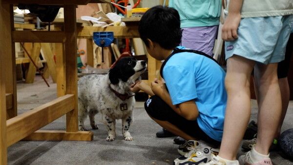 사진=동물극장 단짝