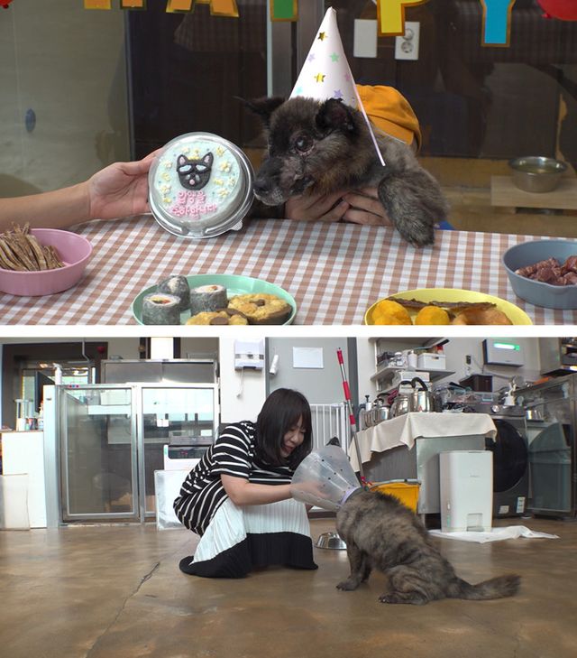 사진=SBS 'TV 동물농장'