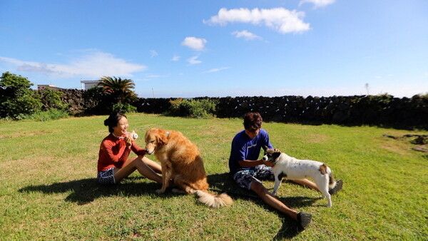 사진=동물극장 단짝