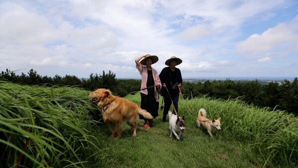 사진=동물극장 단짝
