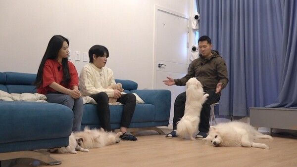 사진=KBS 2TV '개는 훌륭하다'