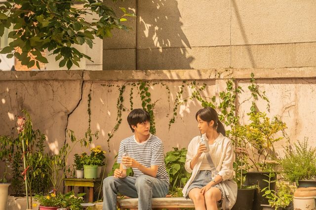 '청설' 스틸. 사진=플러스엠 엔터테인먼트