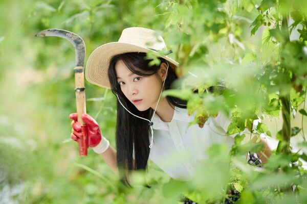 사진=취하는 로맨스