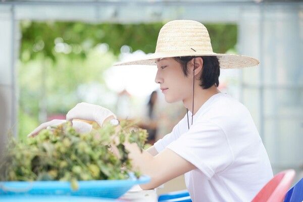 사진=취하는 로맨스