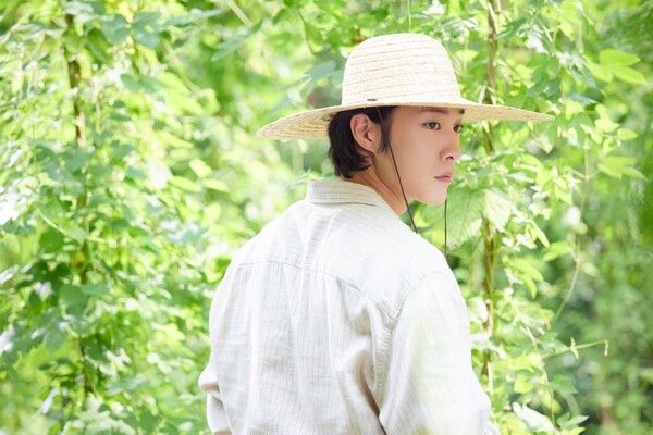 사진=취하는 로맨스