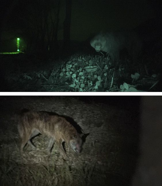 사진=TV동물농장