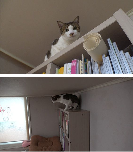 사진=TV동물농장