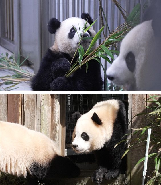 사진=TV동물농장