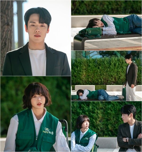 사진=다리미 패밀리