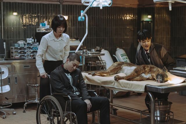 '가족계획'. 사진=쿠팡플레이