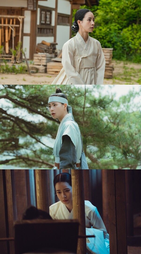 사진=옥씨부인전