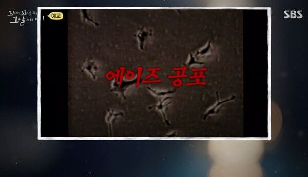 사진=꼬리에 꼬리를 무는 그날 이야기