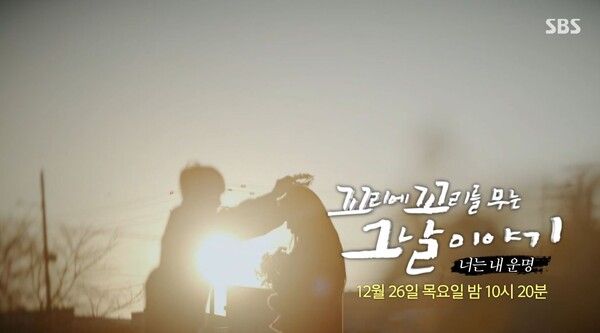 사진=꼬리에 꼬리를 무는 그날 이야기