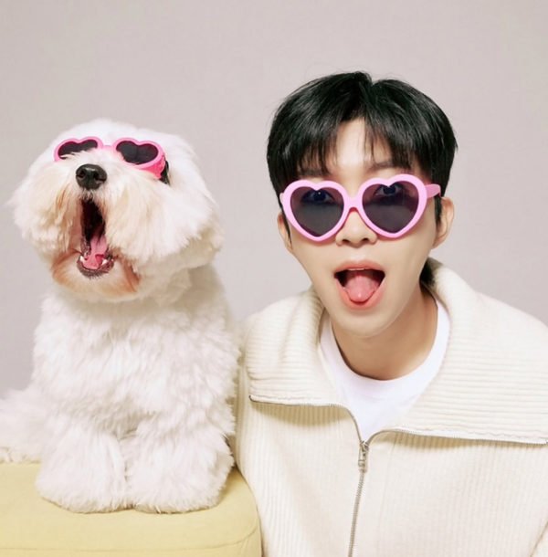 사진=가수 임영웅