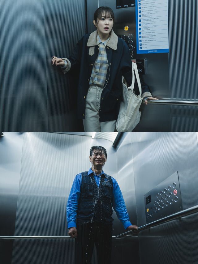 '조명가게'. 사진=디즈니+