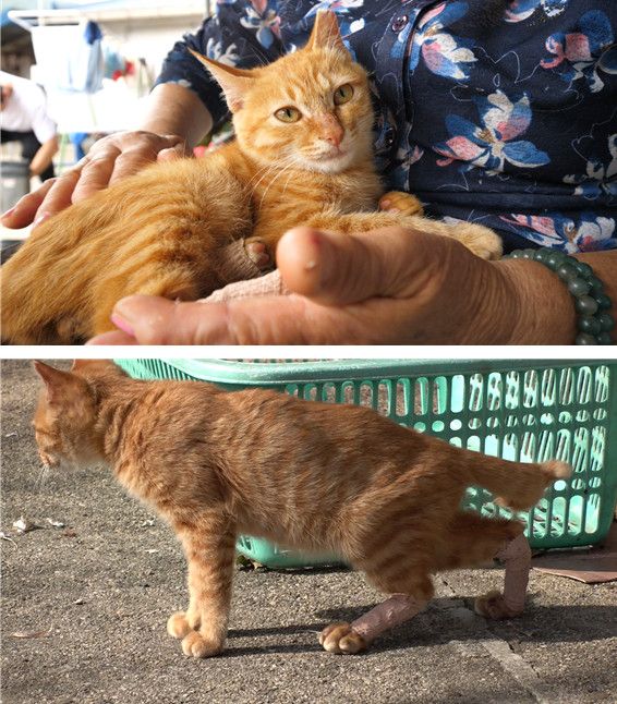 사진=TV 동물농장