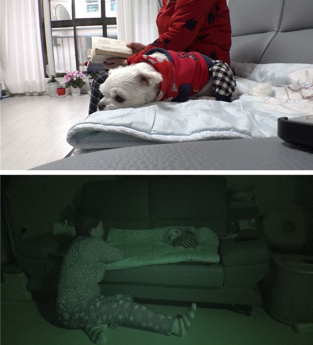 사진=SBS 'TV 동물농장'