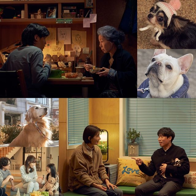 영화 '도그데이즈'. 사진=CJ ENM