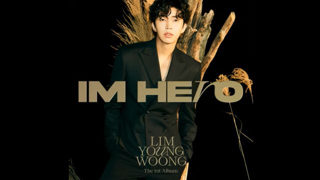 사진=임영웅 '손이 참 곱던 그대' 음원 영상