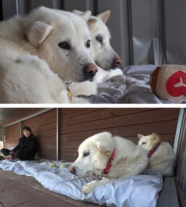 사진=TV동물농장