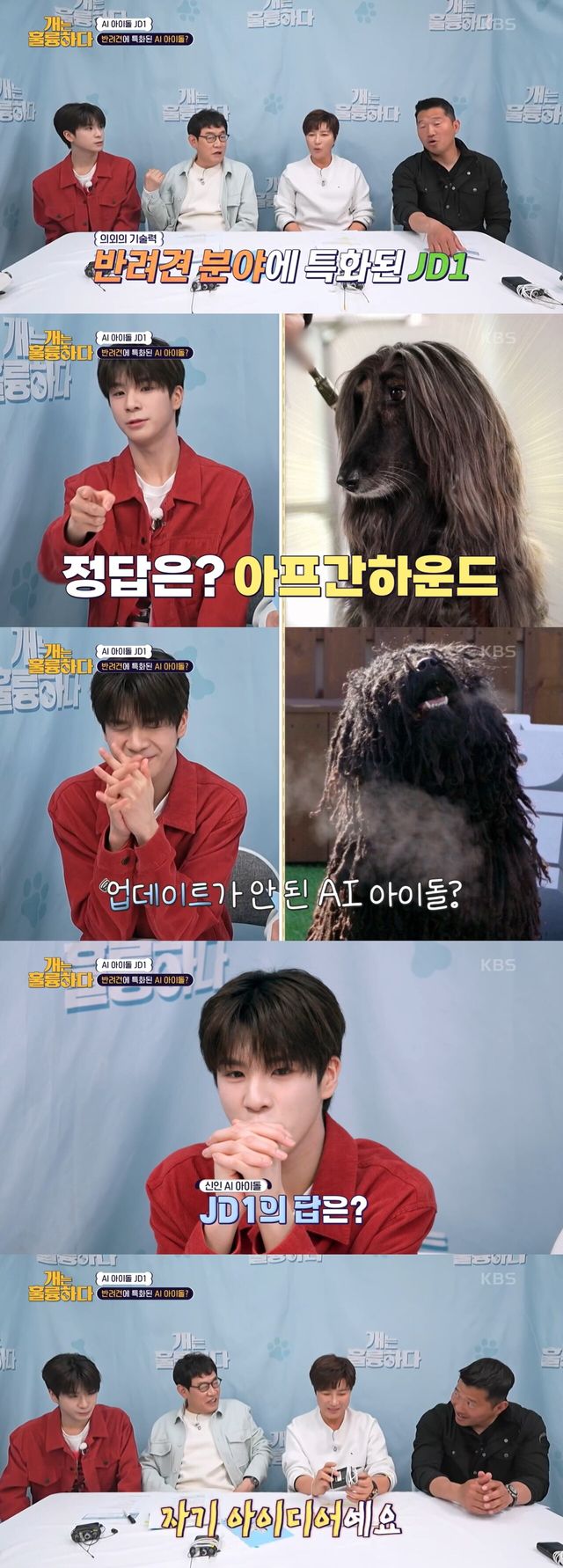 '개는 훌륭하다'. 사진=KBS2