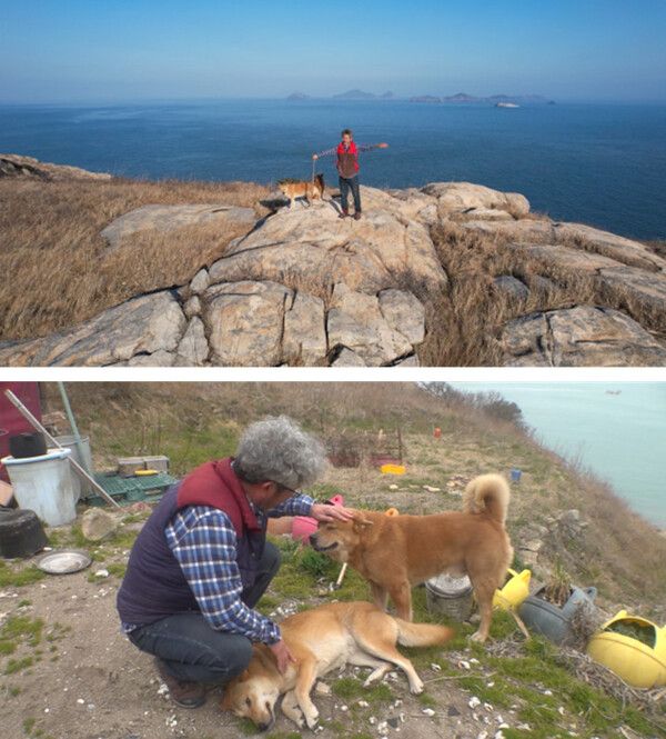 사진= SBS TV동물농장