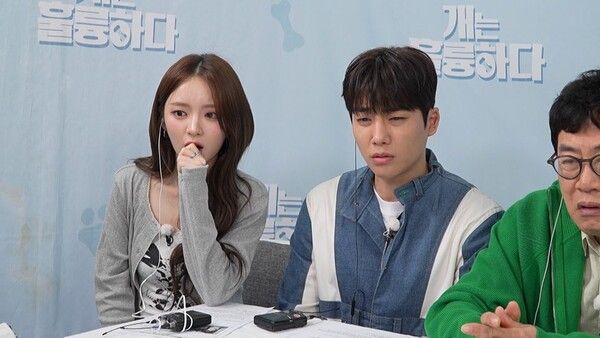 사진=KBS 2TV '개는 훌륭하다'