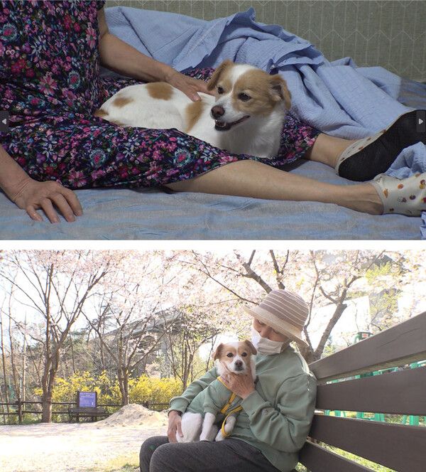 사진=SBS 'TV '동물농장'