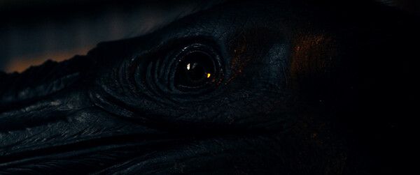 영화 '루프 트랙' 스틸컷. 사진=㈜콘텐트마인