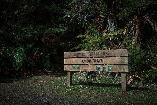 영화 '루프 트랙' 스틸컷. 사진=㈜콘텐트마인