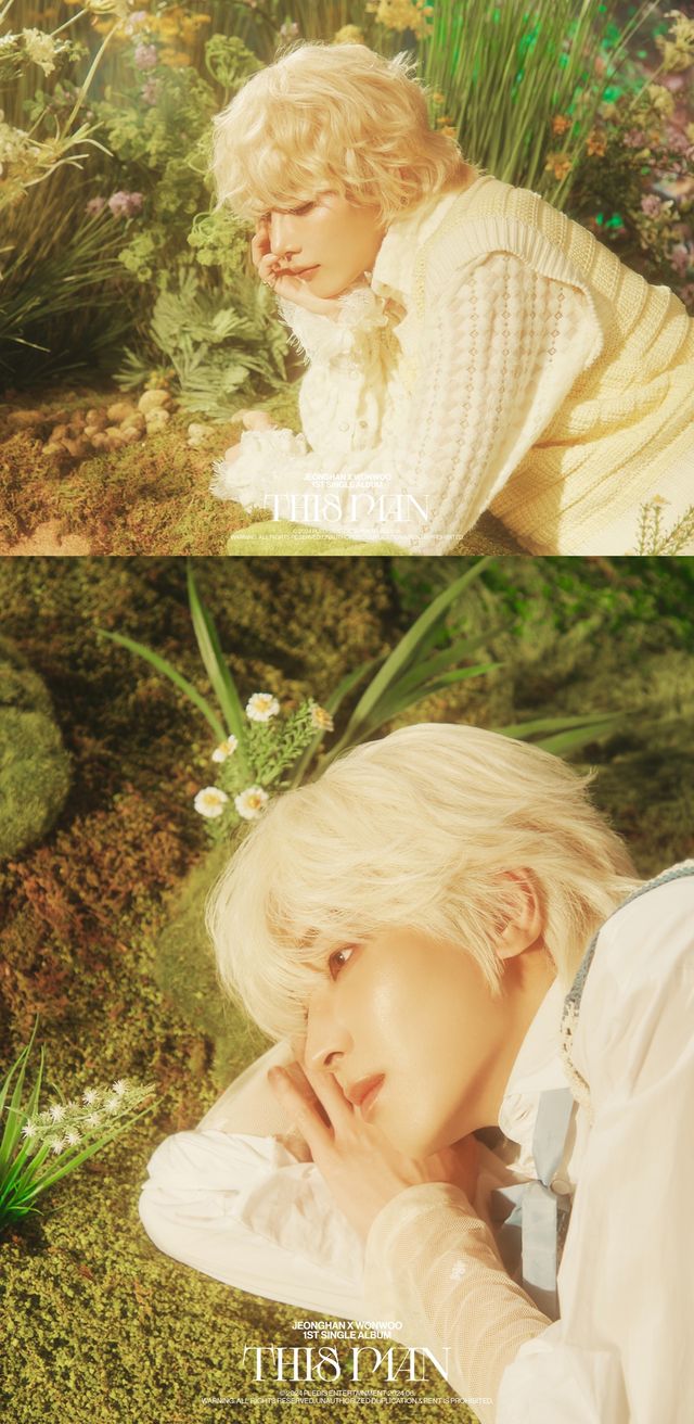 세븐틴 정한X원우. 사진=플레디스 엔터테인먼트