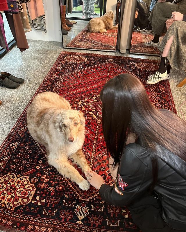 블랙핑크 제니. 사진=제니 인스타그램