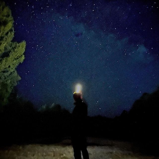 영탁. 사진=영탁 인스타그램