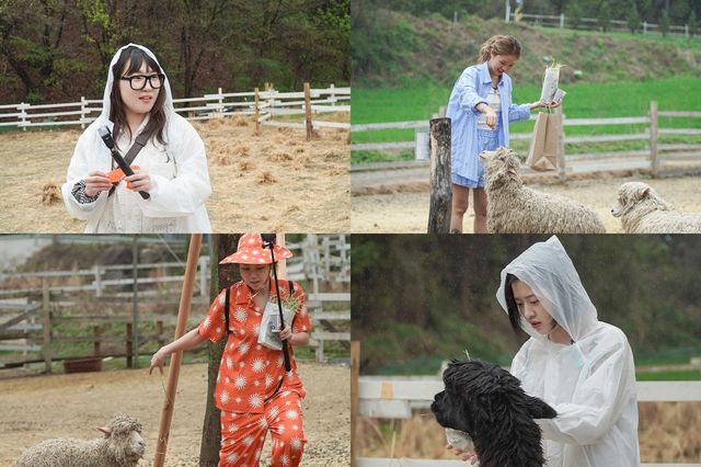 '지락이의 뛰뛰빵빵'. 사진=tvN