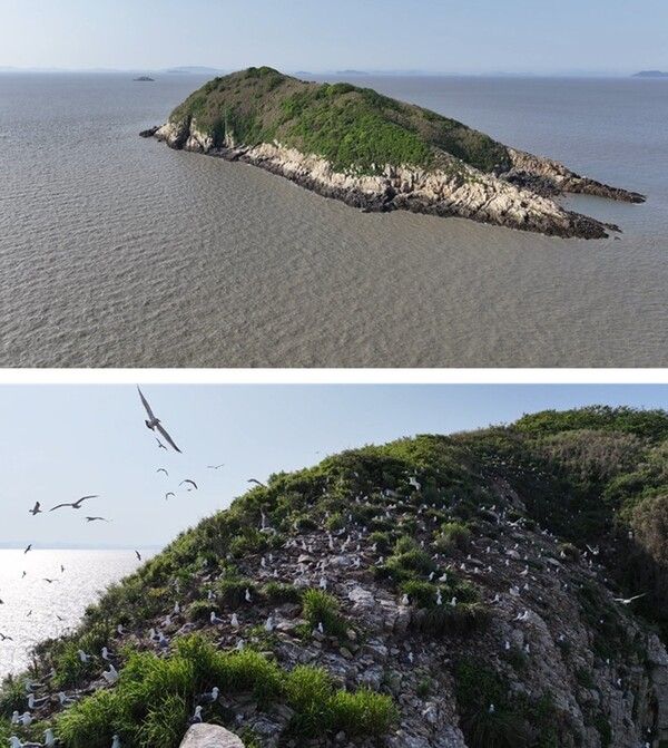 사진=TV동물농장