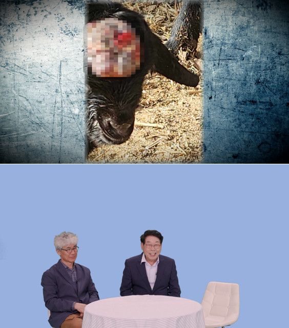 사진=TV동물농장