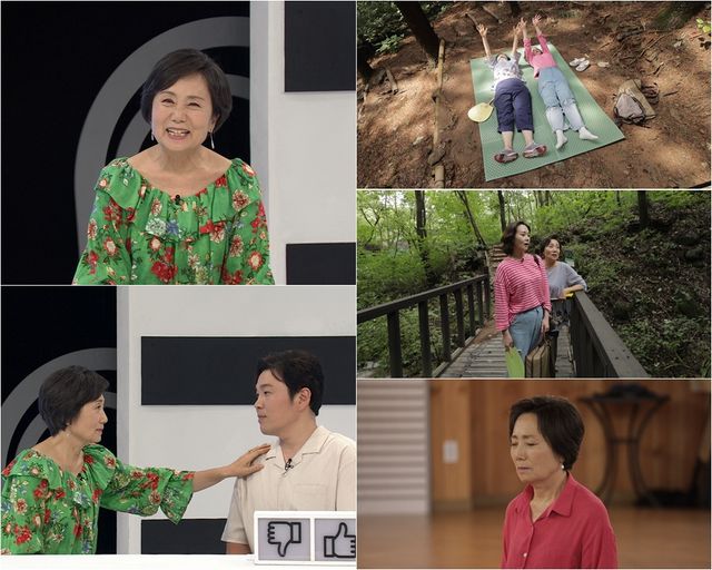 '퍼펙트 라이프'. 사진=TV조선