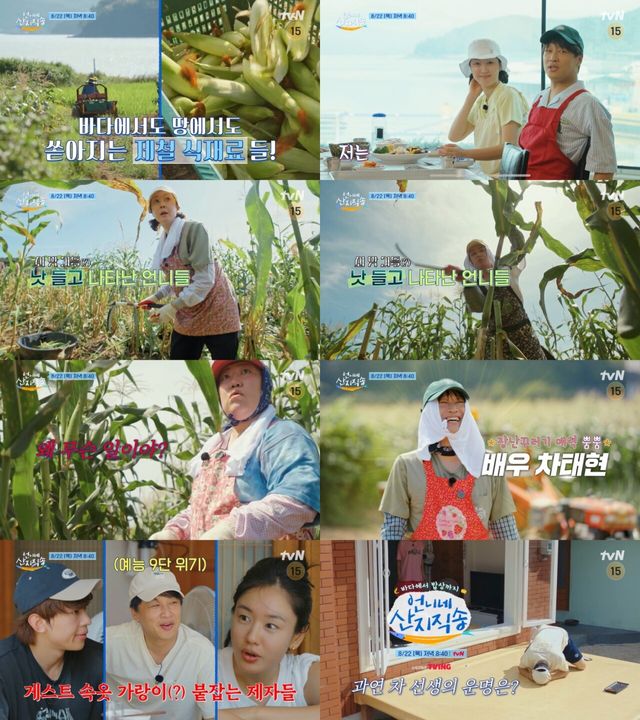 '언니네 산지직송'. 사진=tvN
