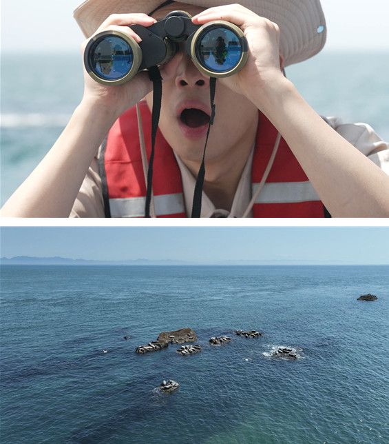 사진=SBS 'TV동물농장'