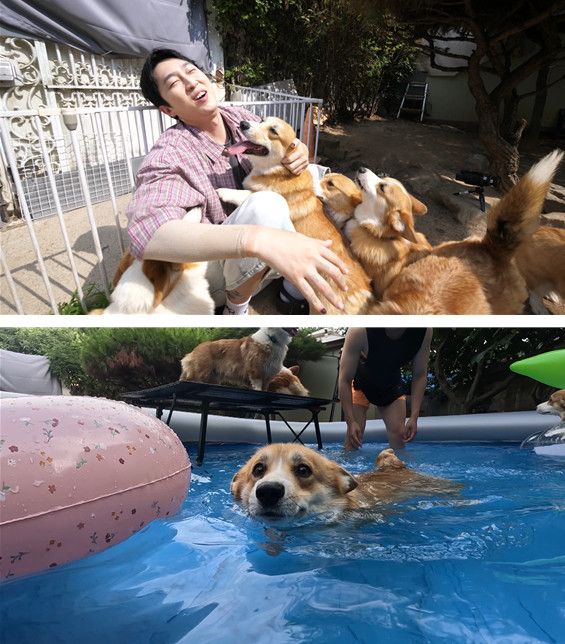 사진=SBS 'TV동물농장'