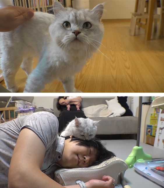 사진=TV동물농장